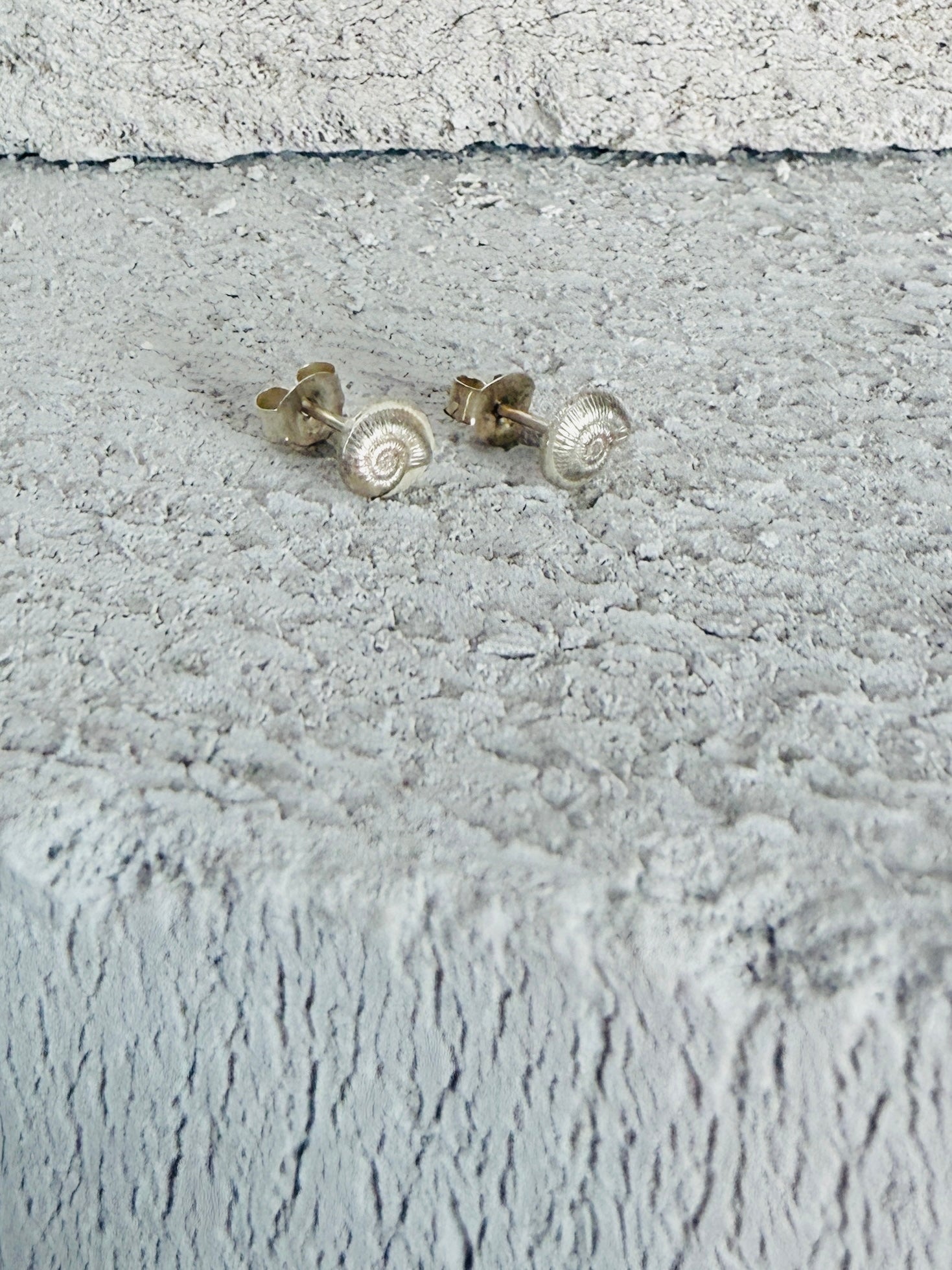 Silver Spirula Shell Studs