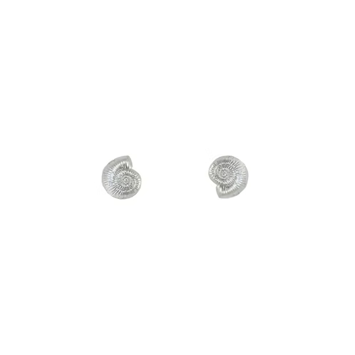 Silver Spirula Shell Studs