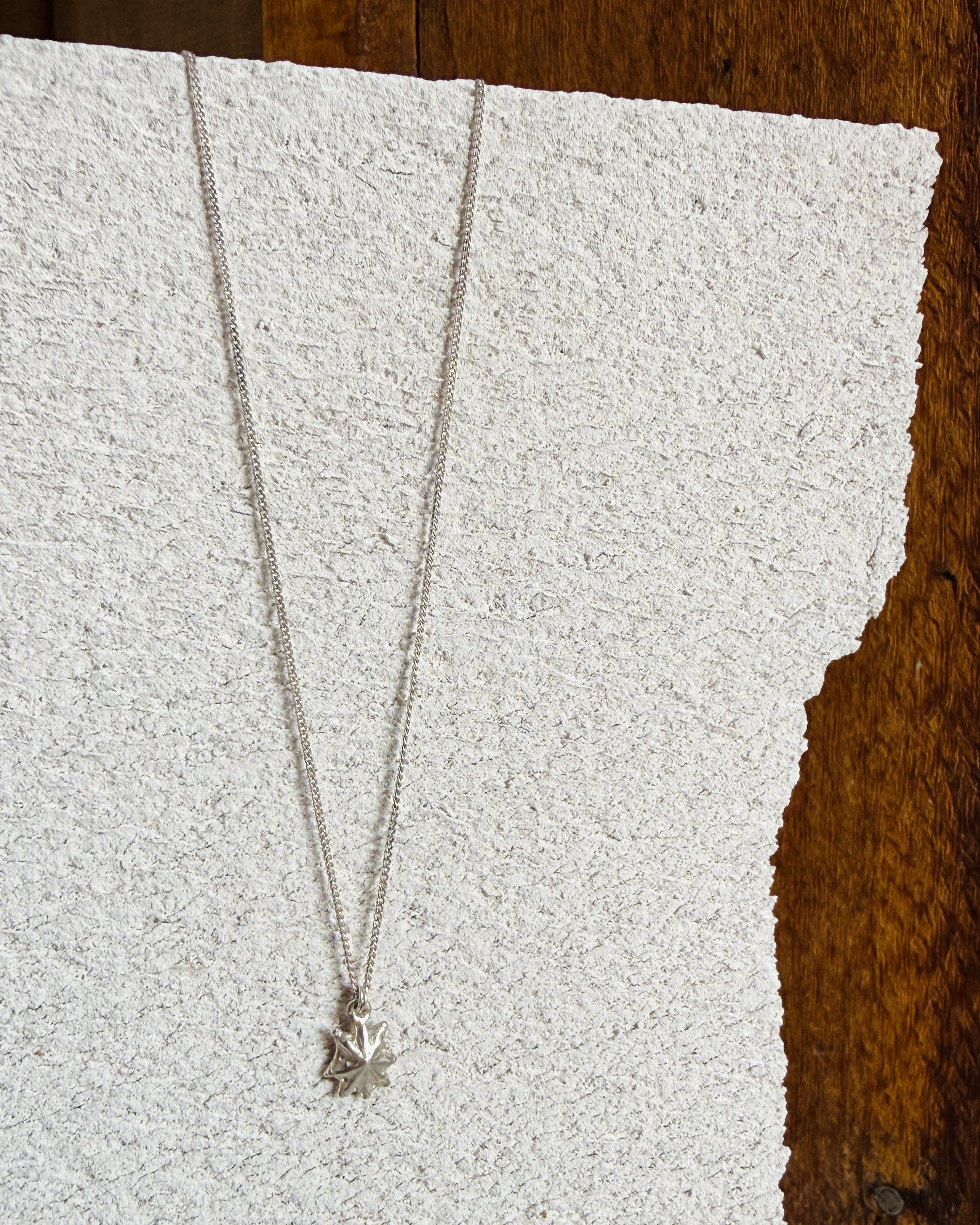 Silver Limpet shell necklace