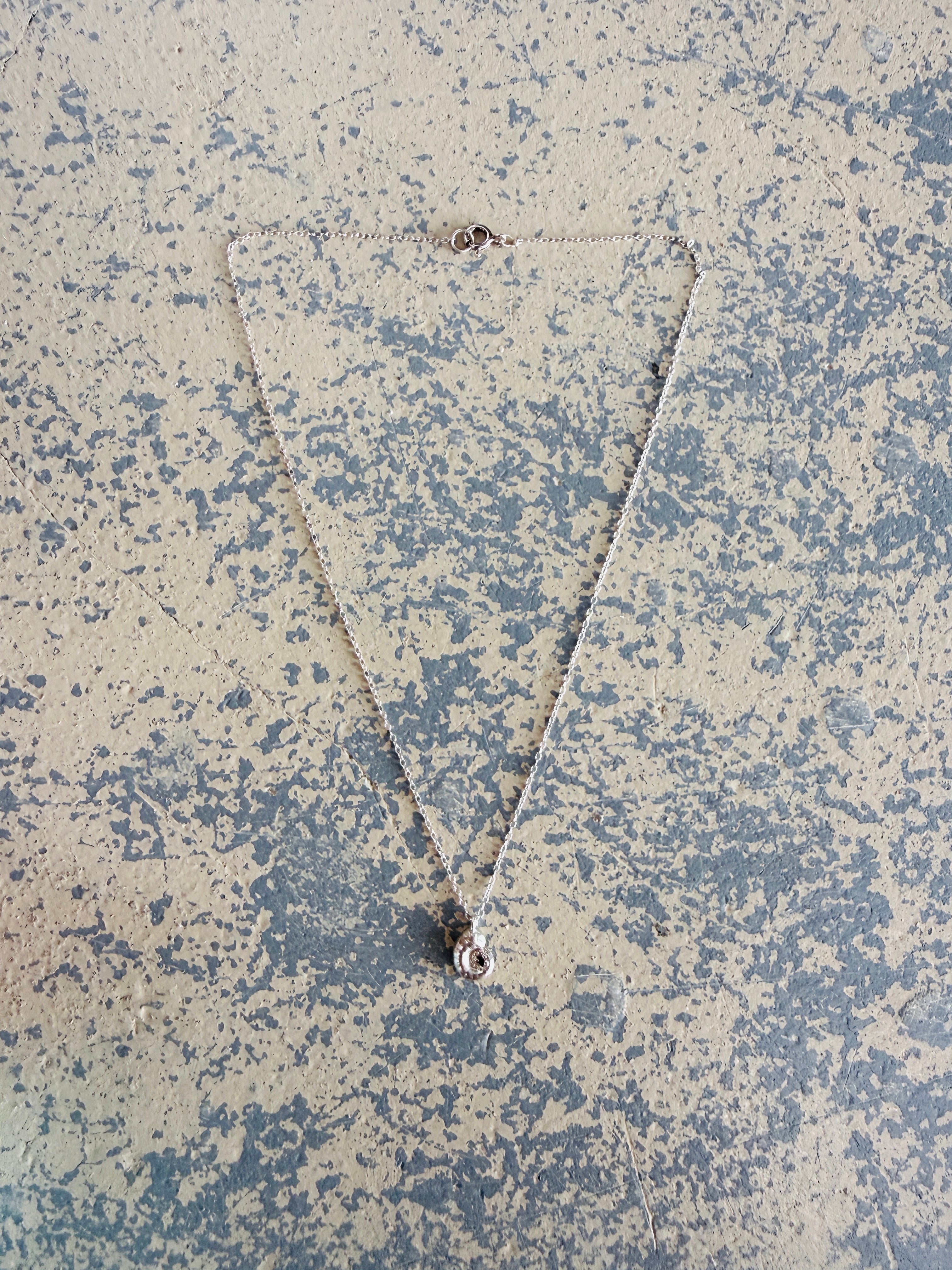 Silver Spirula Shell Necklace