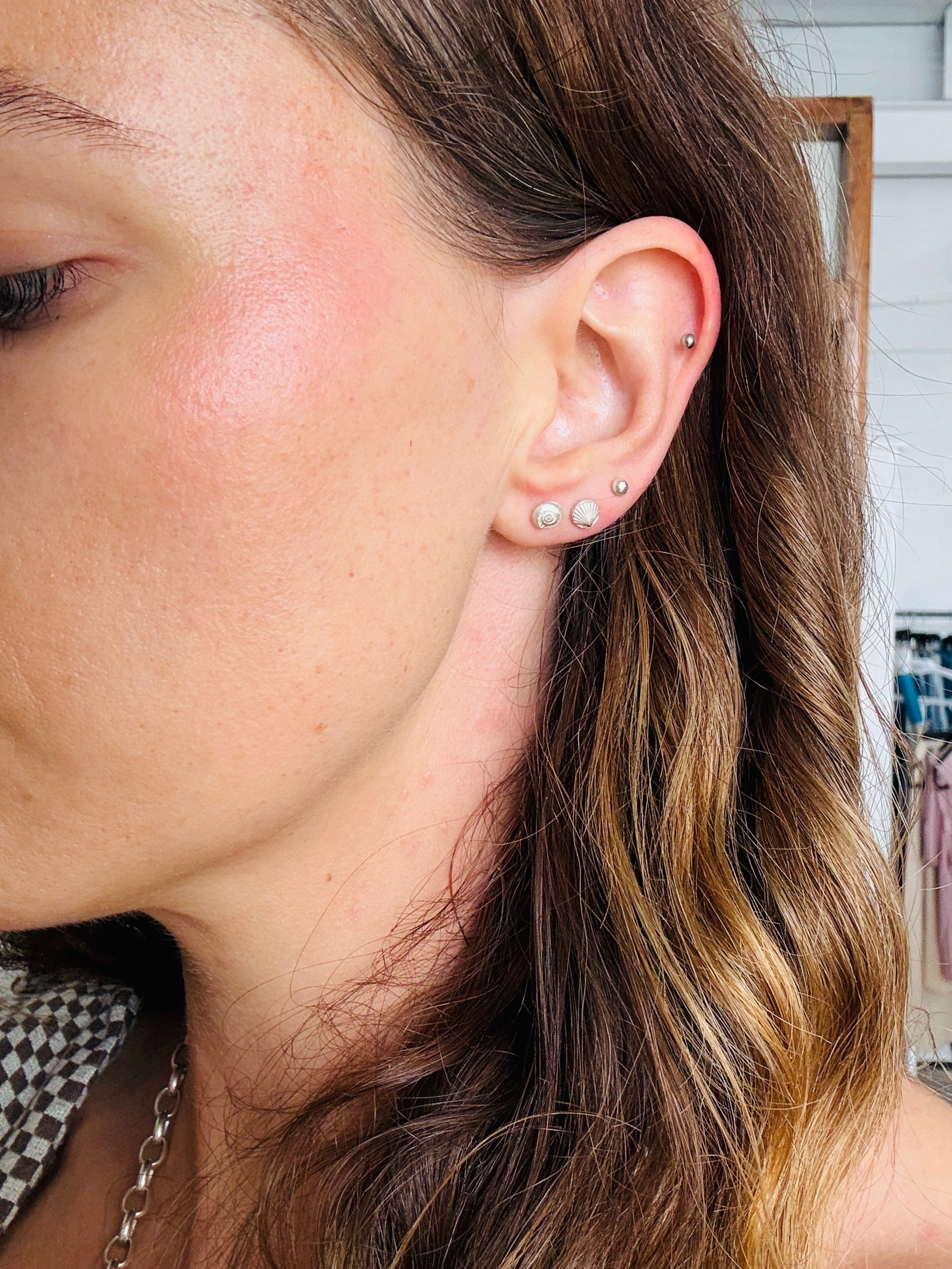 Silver Spirula Shell Studs